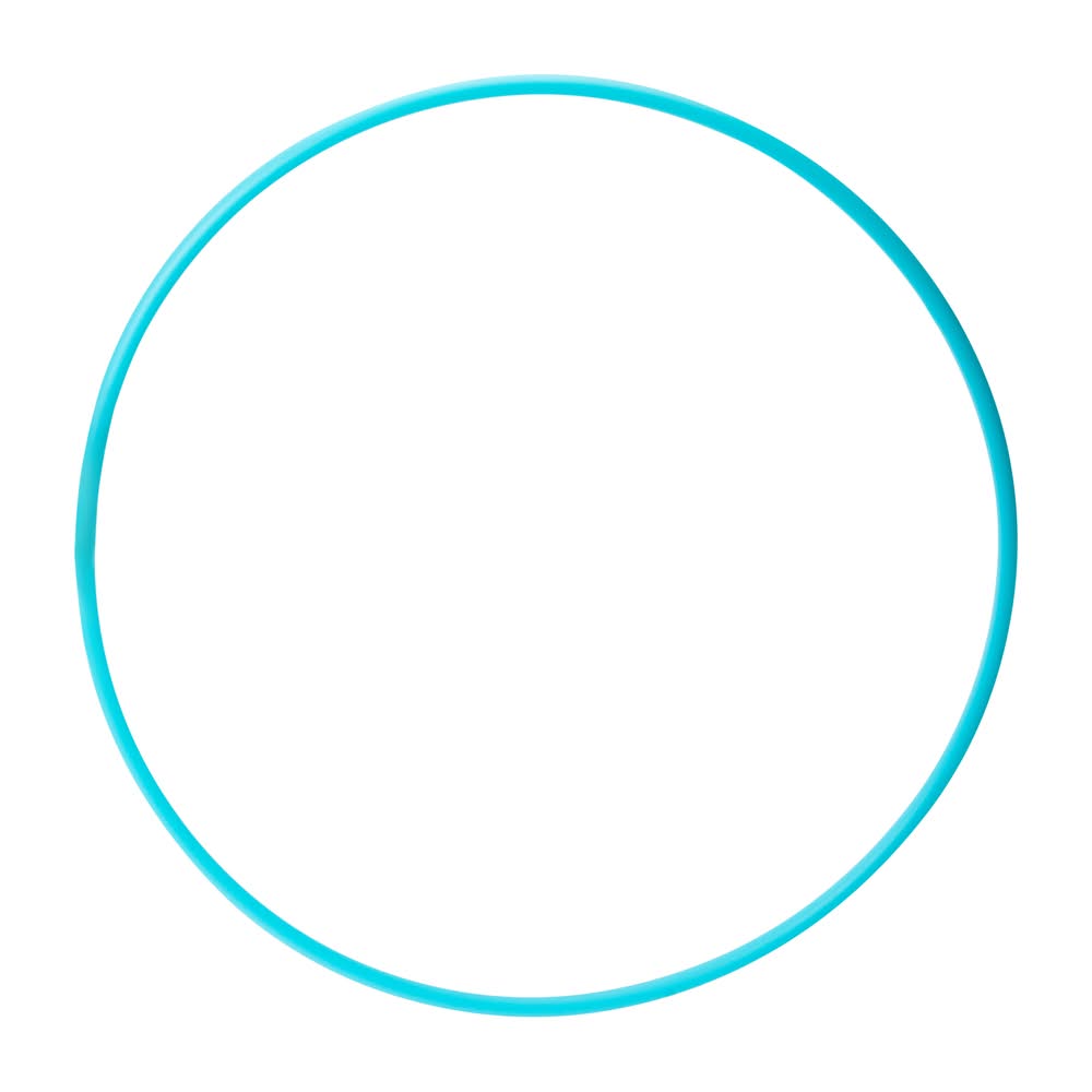 Scented Hula Hoop Toy 22in Blue Berry