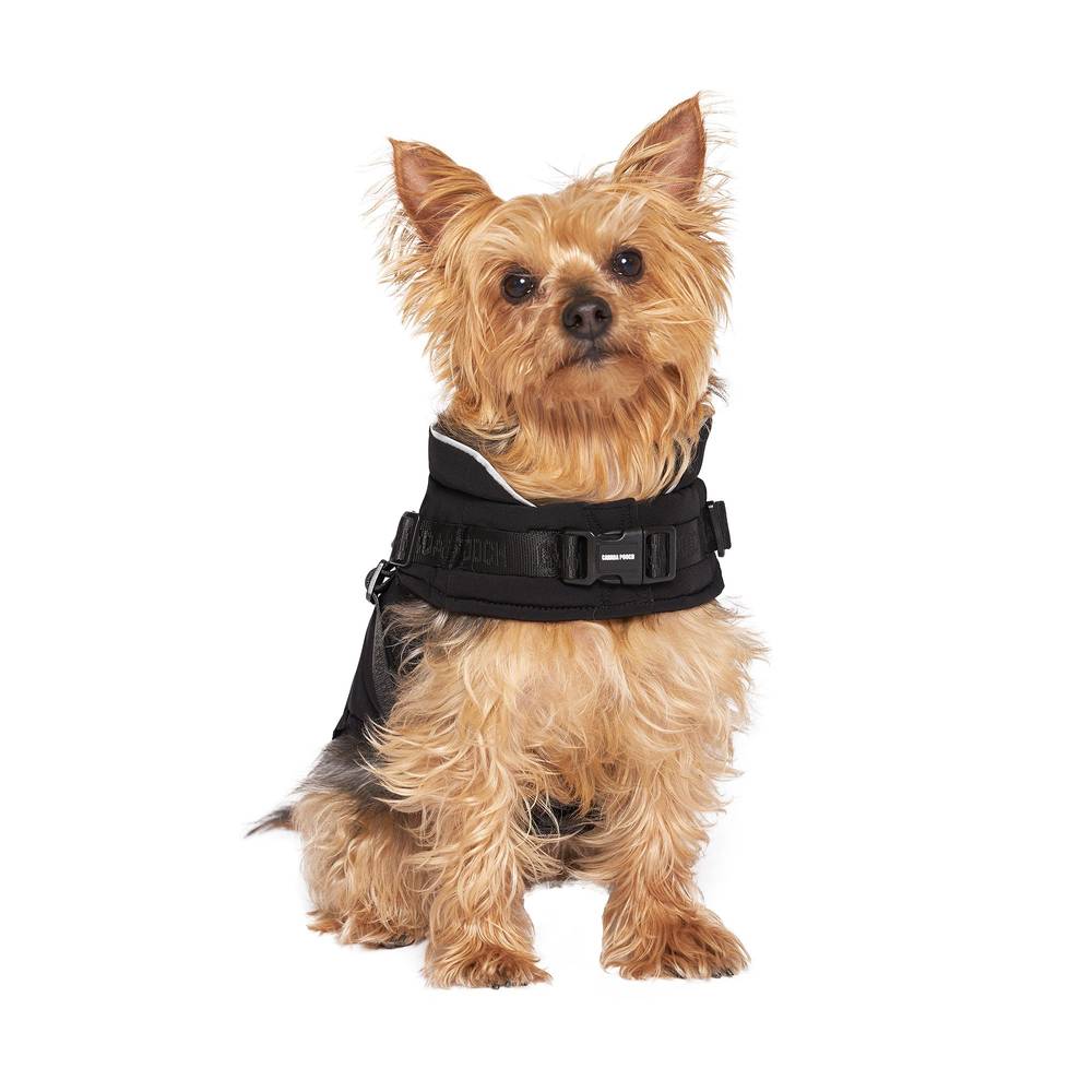 Canada Pooch 2-in-1 Dog Harness Puffer Jacket - Black (Size: 16)