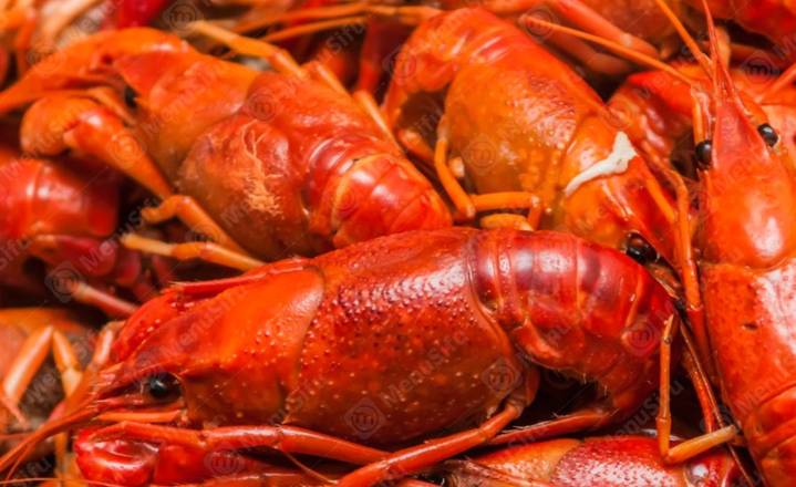 M4.Crawfish(1LB)