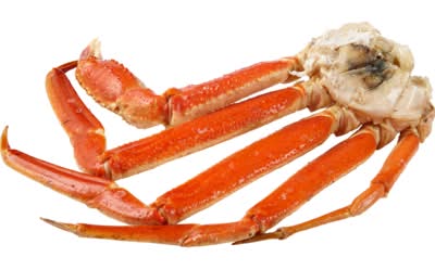 Crabe Des Neiges / Snow Crab