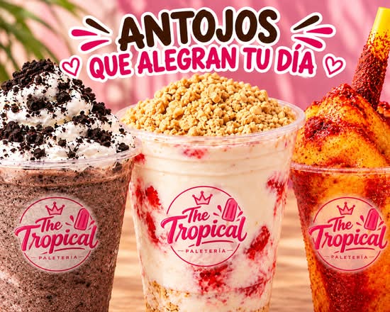 The Tropical Paleteria (Villahermosa)