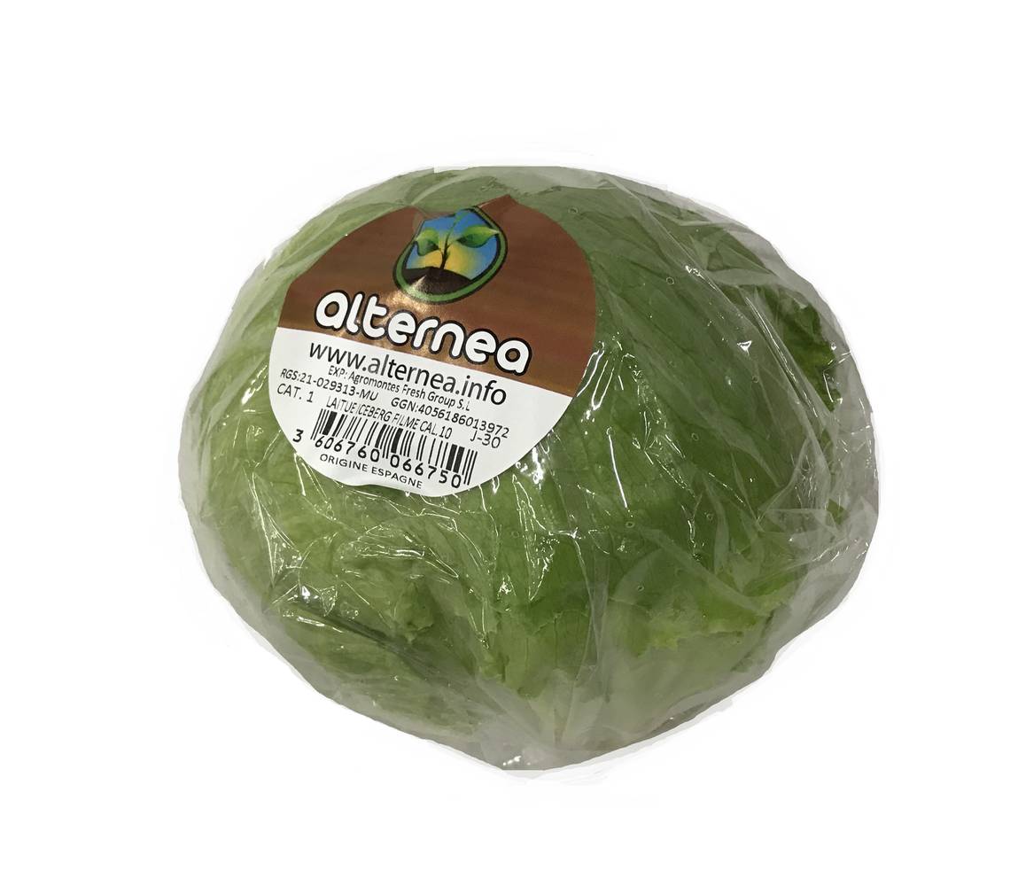 Alternea - Salade iceberg