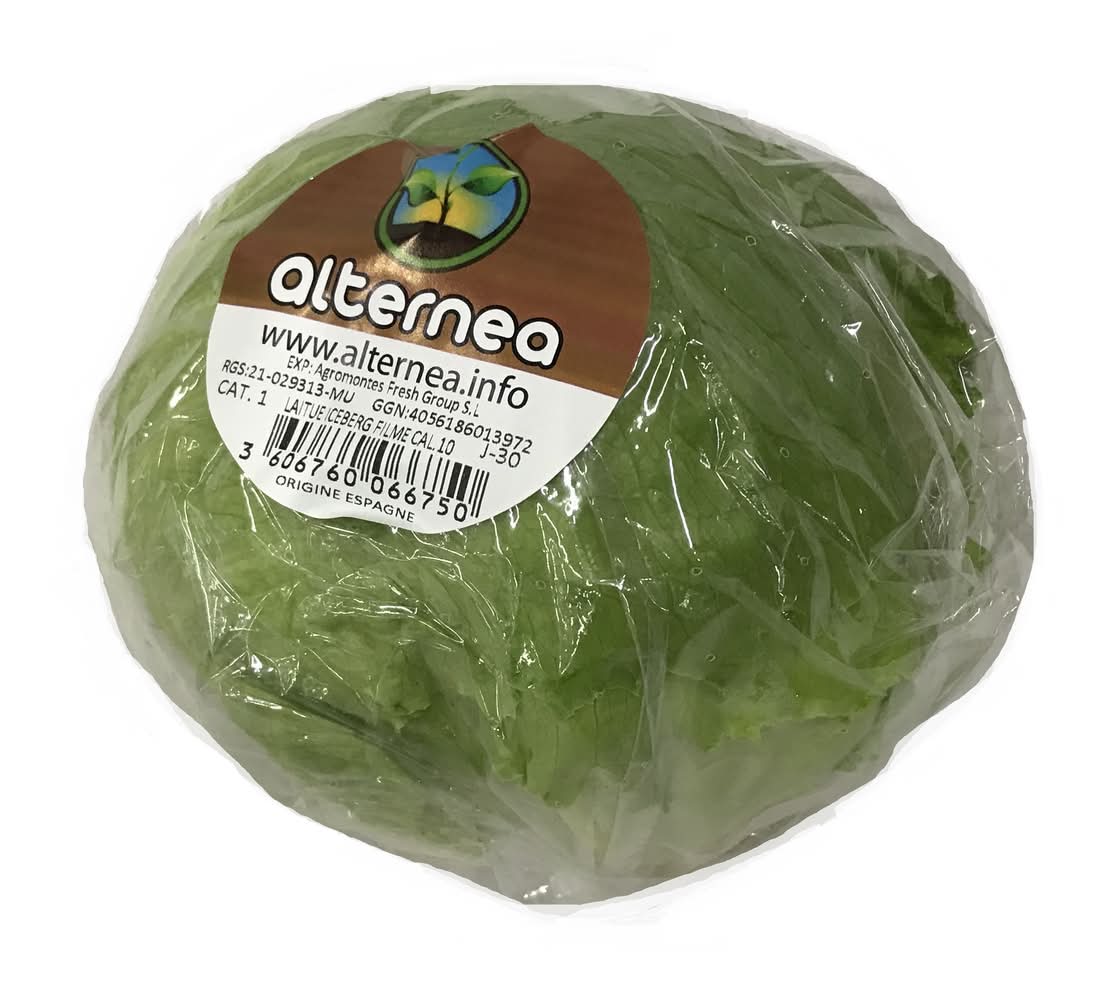 Alternea - Salade iceberg (500g)