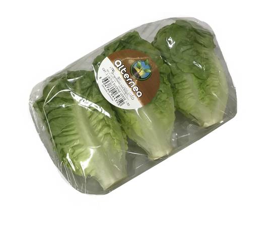 Alternea - Salade sucrine verte (3 pièces)