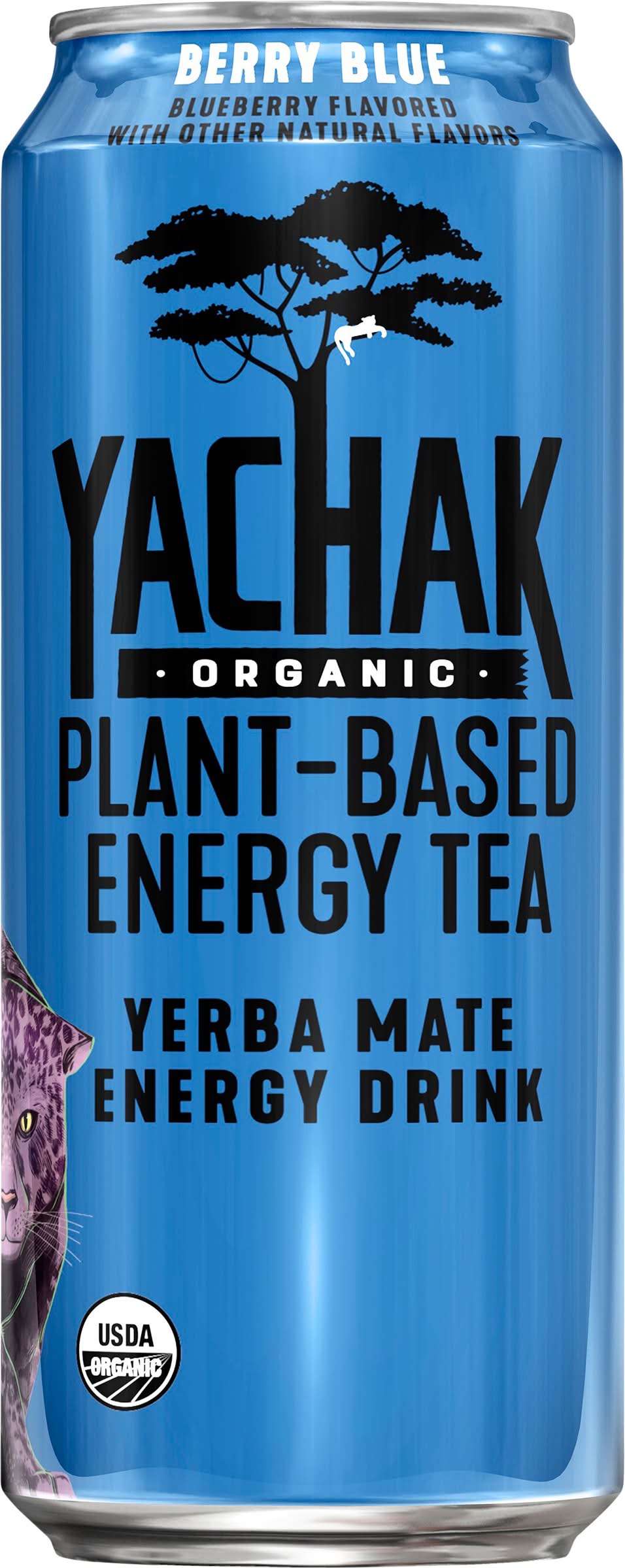 Yachak Organic Yerba Mate Energy Drink, Berry Blue (16 fl oz)