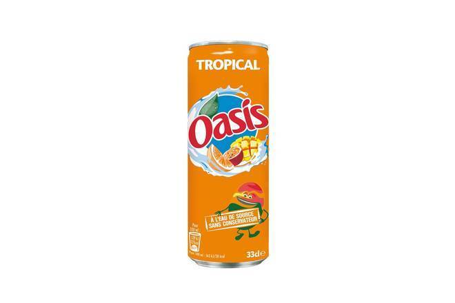 Oasis tropical