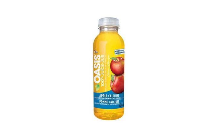 Apple Juice (300mL)