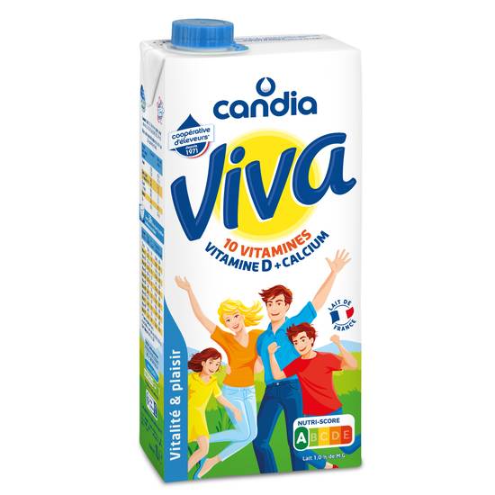 Candia - Viva lait vitaminé source de 10 vitamines calcium et vitamine d (1 L)