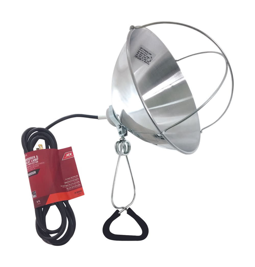 ACE 250 W Brooder And Heat Lamp