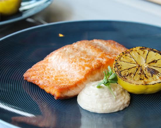 Salmon