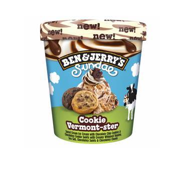 BEN & JERRY 427ML COOKIE VERMONSTER SUNDAE