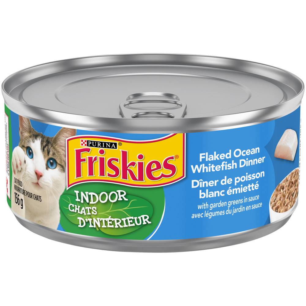 Fancy Feast Grilled Salmon Feast in Gravy Cat Food (85 g)