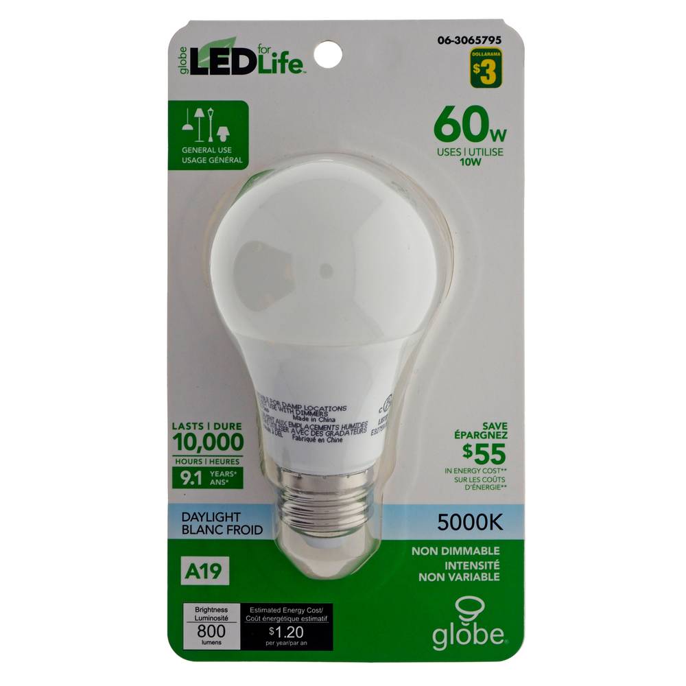 Globe Electric A19 60w Led For Light Bulb