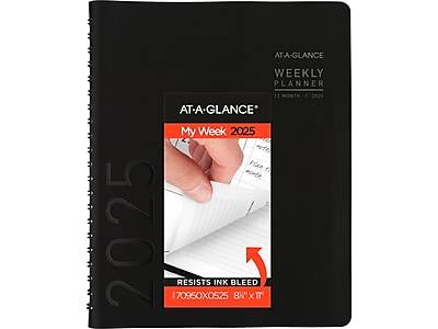 At-A-Glance 2025 Contemporary Weekly & Monthly Planner (black)