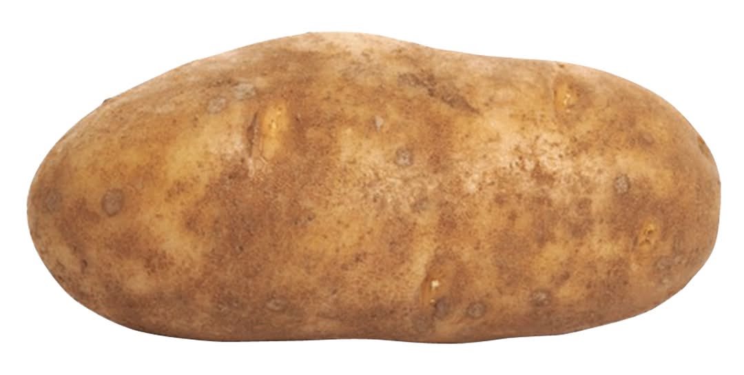 Russet Potato - 1ct