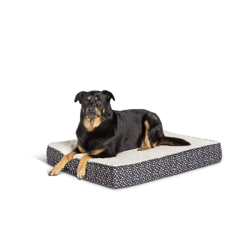 Top Paw Dotted Orthopedic Mattress Dog Bed