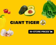 Giant Tiger (700 St. Peter Avenue)
