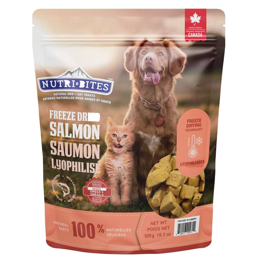 Nutribites Saumon Lyophilise 520 G