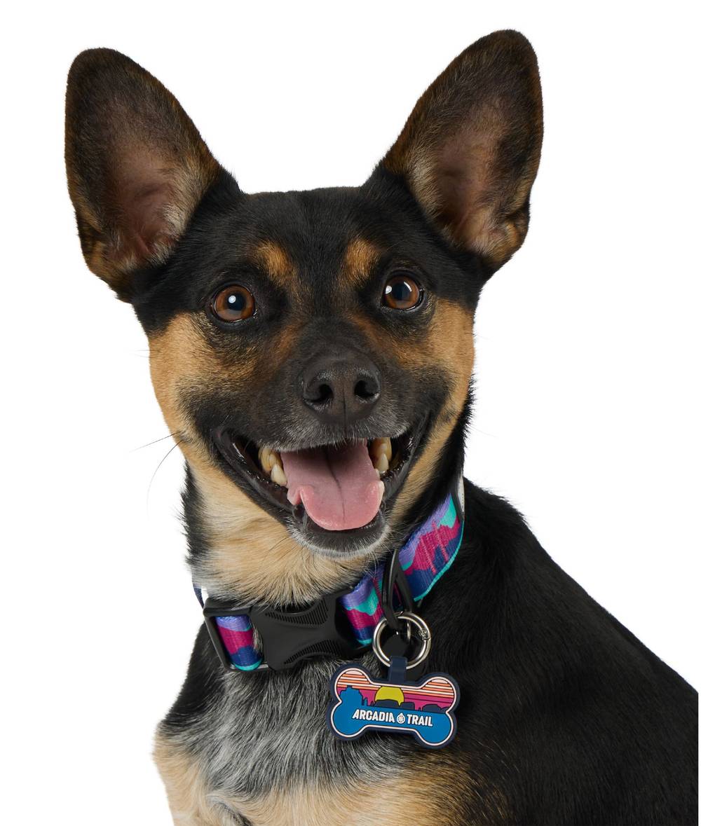 Arcadia Trail® Silicone Dog Tag Silencer (Color: Multi Color)
