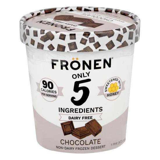 Fronen Chocolate Non-Dairy Frozen Dessert (1 pint)