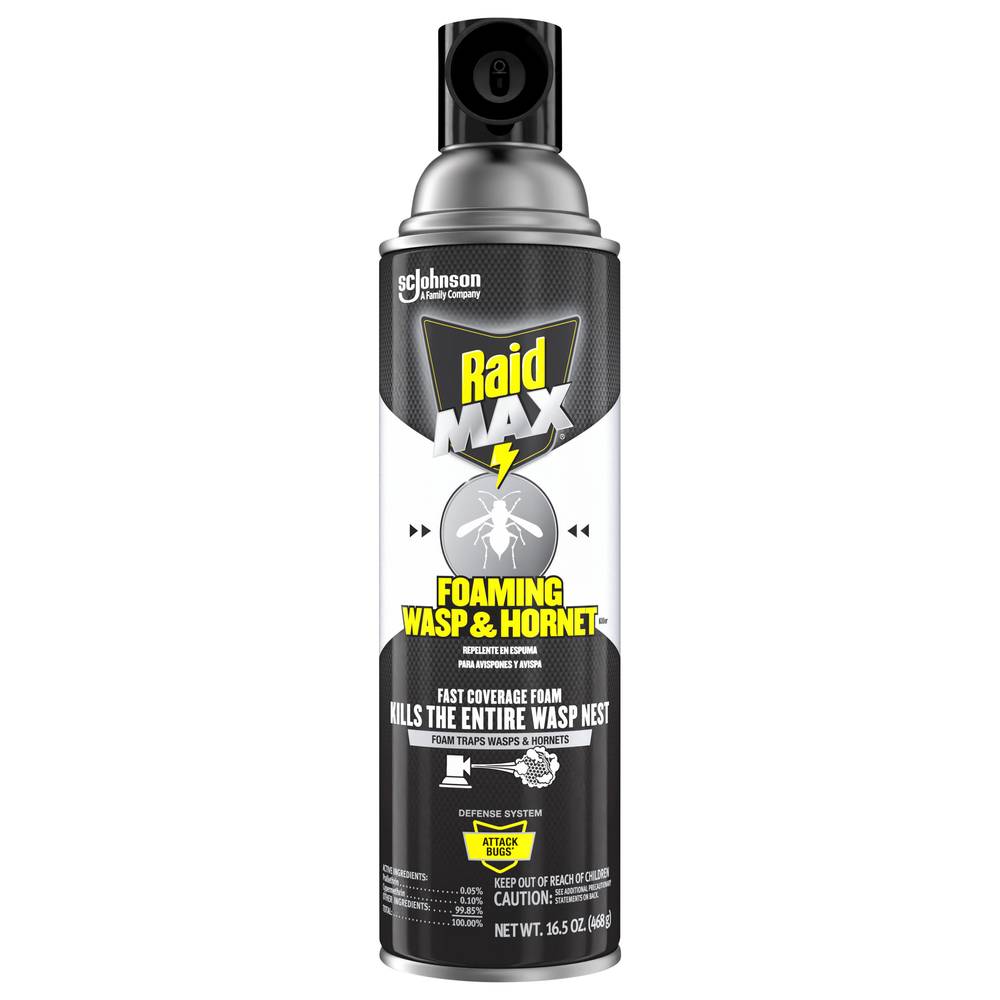 Raid Max Foaming Wasp & Hornet (16 oz)