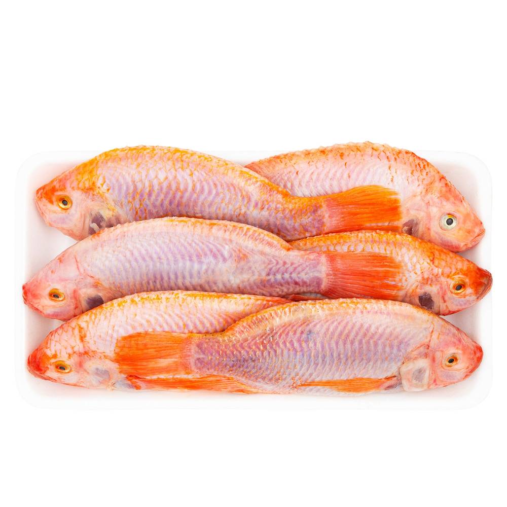 Whole Tilapia (Farmed)