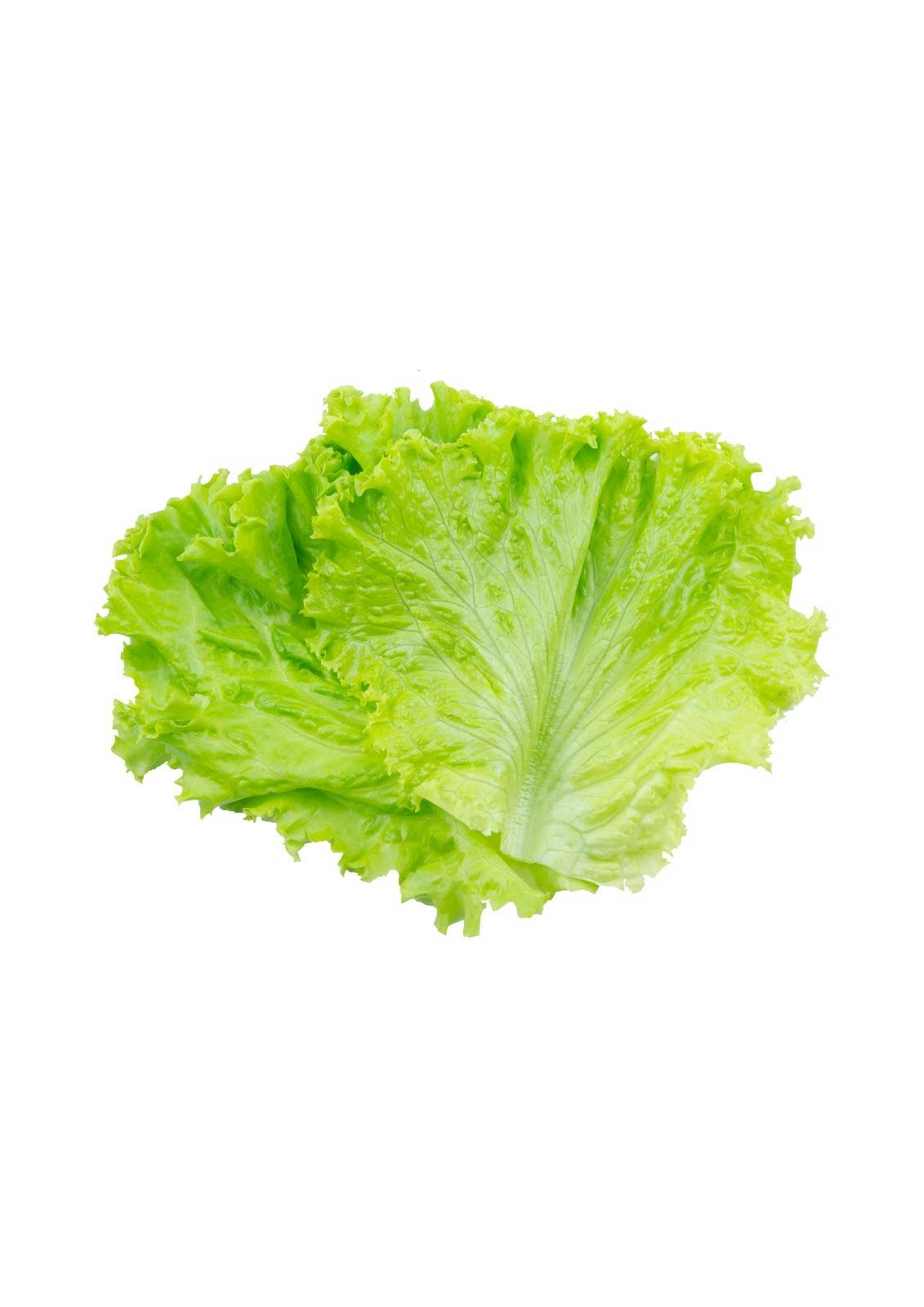 Salade