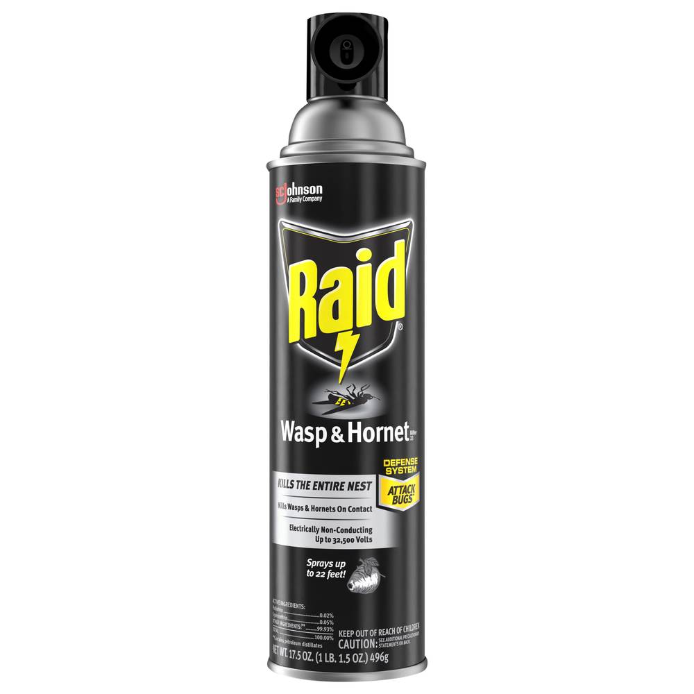 Raid Wasp & Hornet Killer (1.09 lbs)