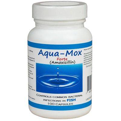 Aqua-Mox Forte (Amoxicillin)- For Fish Infections-  500mg (100 count)