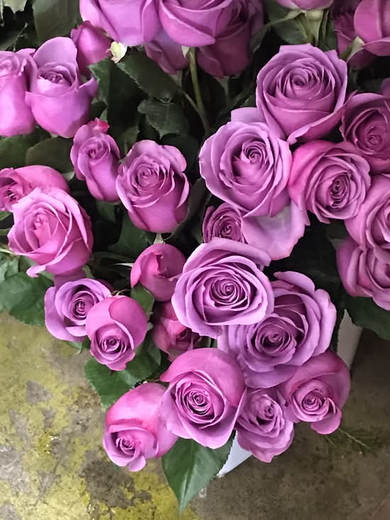 The Blessing Flowers (6352 Vineland Avenue)