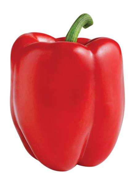 Red Bell Pepper