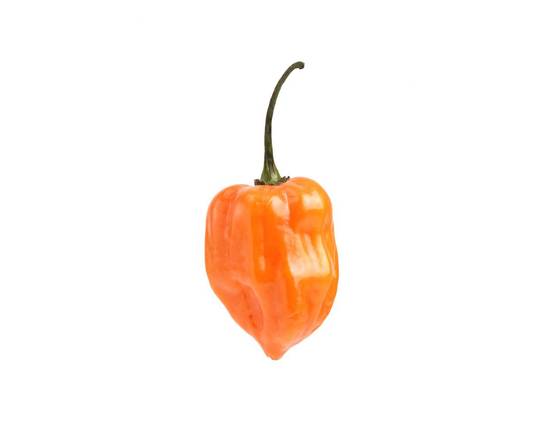 Habanero Peppers (1 pepper)