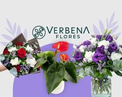 Verbena Flores🛒 💐(Monterrey) NEW
