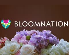 BloomNation-Concrete Rose Floral