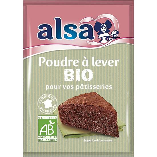 Poudre à lever Bio Alsa 50g