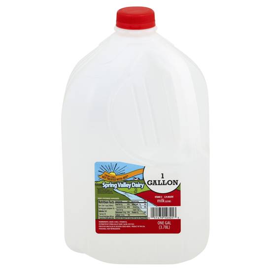 Spring Valley Dairy Milk (3.78 L)