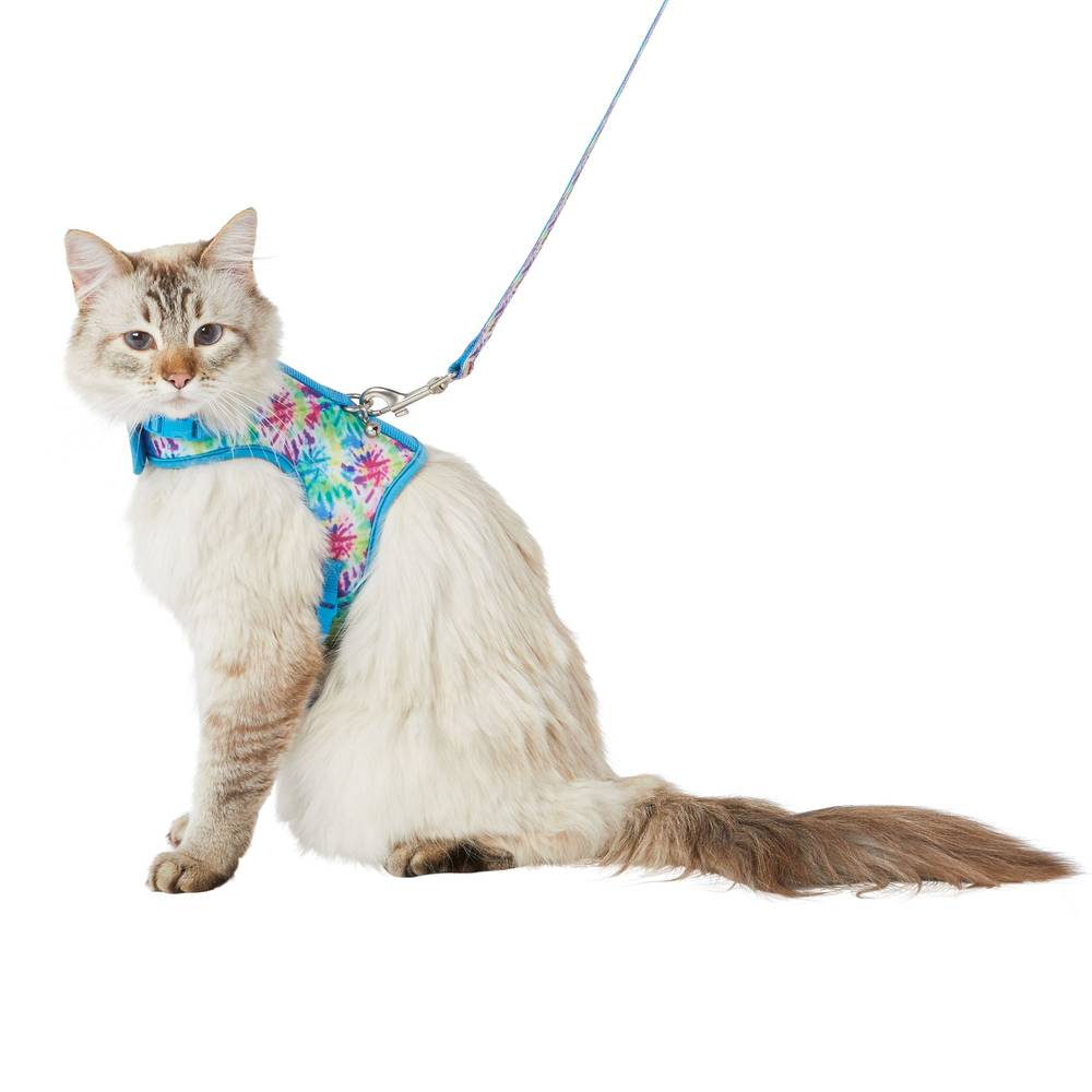 Whisker City Tie Dye Cat Leash & Harness Combo (cat (adult))
