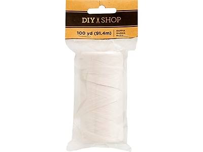 American Crafts Diy Shop Raffia Ribbon 34006607 (100 yd/white)
