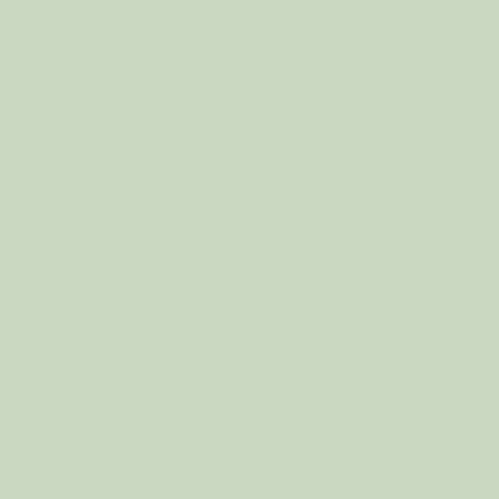 Benjamin Moore Eggshell Base 1 Paint Sample Interior 8 Oz Van Alen Green Hc-120 Van Alen Green Sample