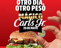 Carl's Jr. (Ciudad Valles)