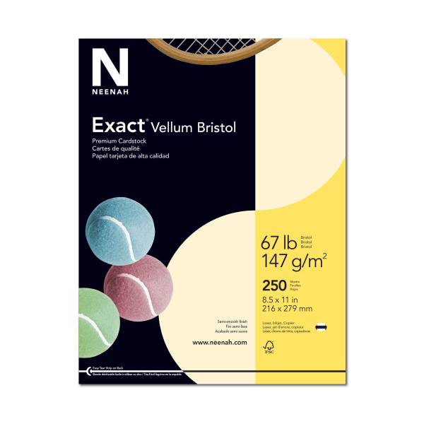 Exact Vellum Bristol Cardstock 8 1/2" X 11"