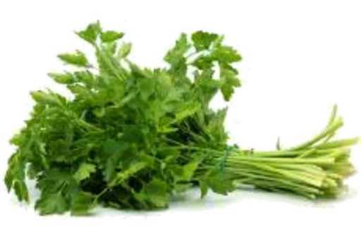 Parsley Continental Big Bunch