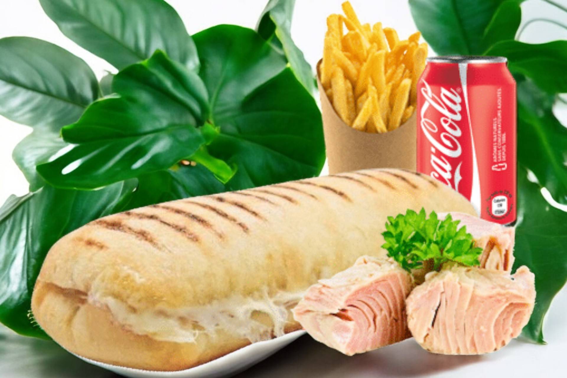🥖Panini Thon