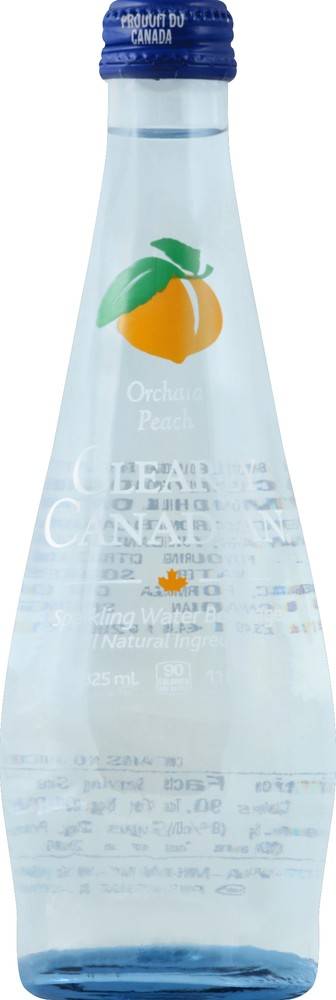 Clearly Canadian Sparkling Water Beverage (11 fl oz) (orchard peach )