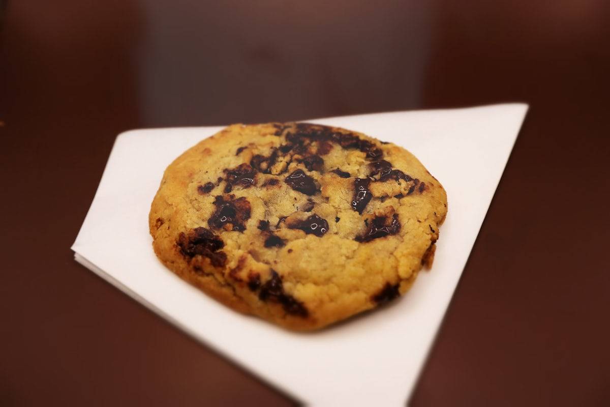 Warm Chocolate Chip Cookie