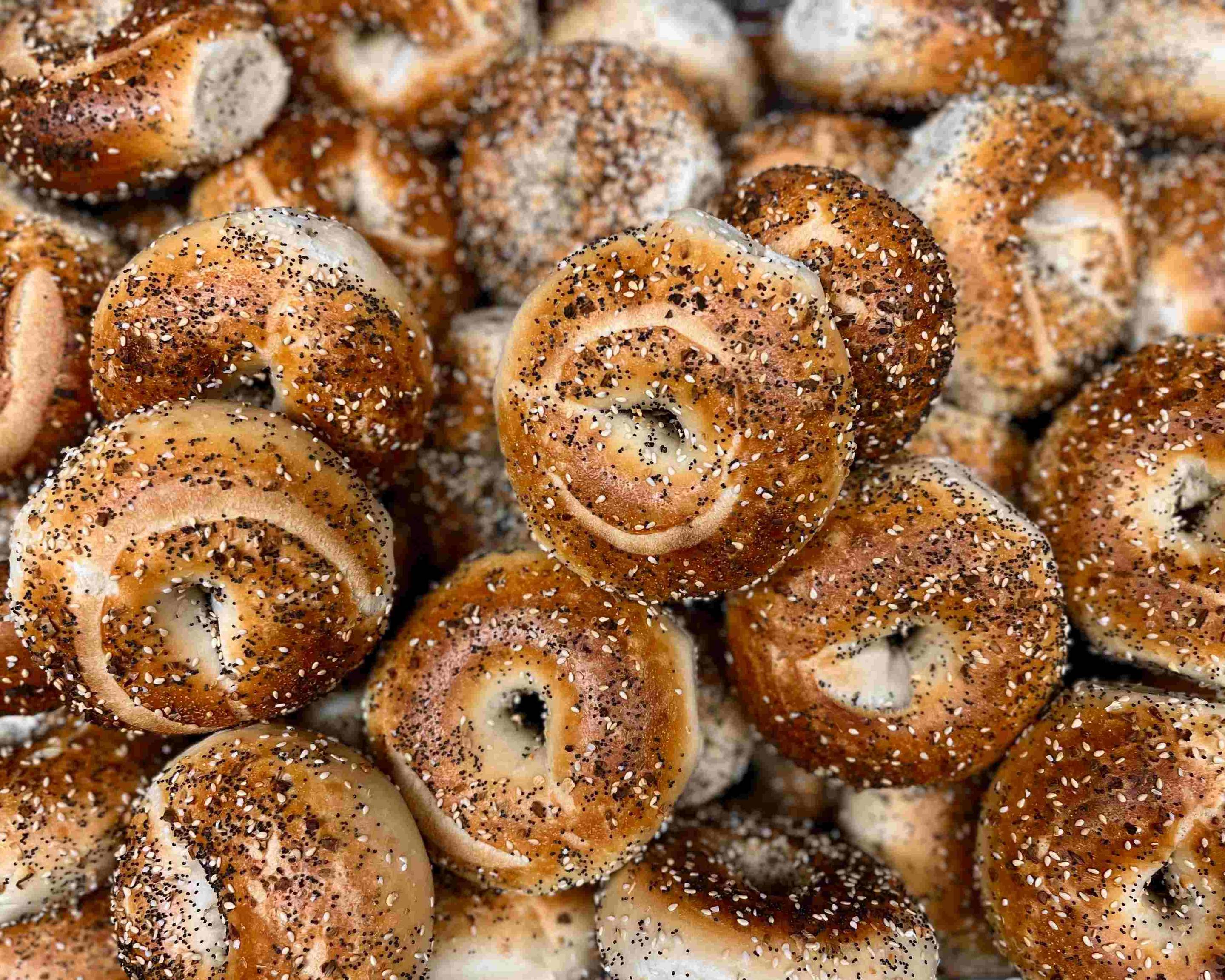 Order Shug's Bagels Lemmon & Oak Lawn Menu Delivery【Menu & Prices