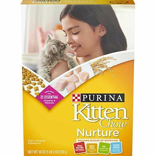 Purina Dry Chewy Kitten Cat Food