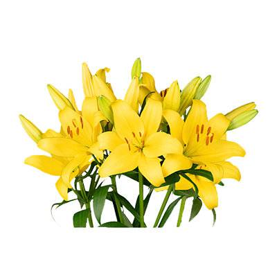 Lily Asiatic Bunch - Each