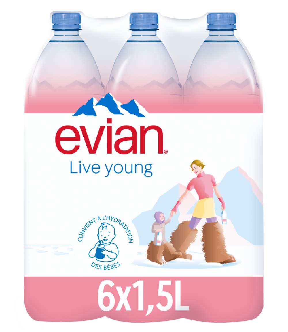 Evian - Eau minérale naturelle (6 x 1,5L)