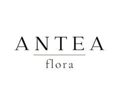 Floristería Antea Flora | Flores A Domicilio Valencia (Calle Salamanca 27)